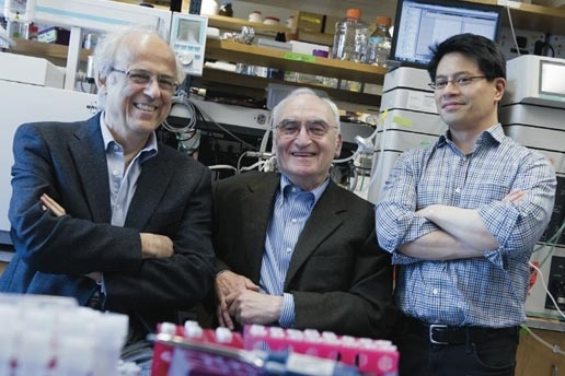 Left to right: Gregory Stephanopoulos of the Department of Chemical Engineering (ChemE), Gerald Fink of the Department of Biology and the Whitehead Institute, and Felix Lam of ChemE are developing new insights and techniques that could dramatically increase the amount of ethanol, butanol, and other biofuels that yeast can produce from raw materials such as corn and sugar cane.   