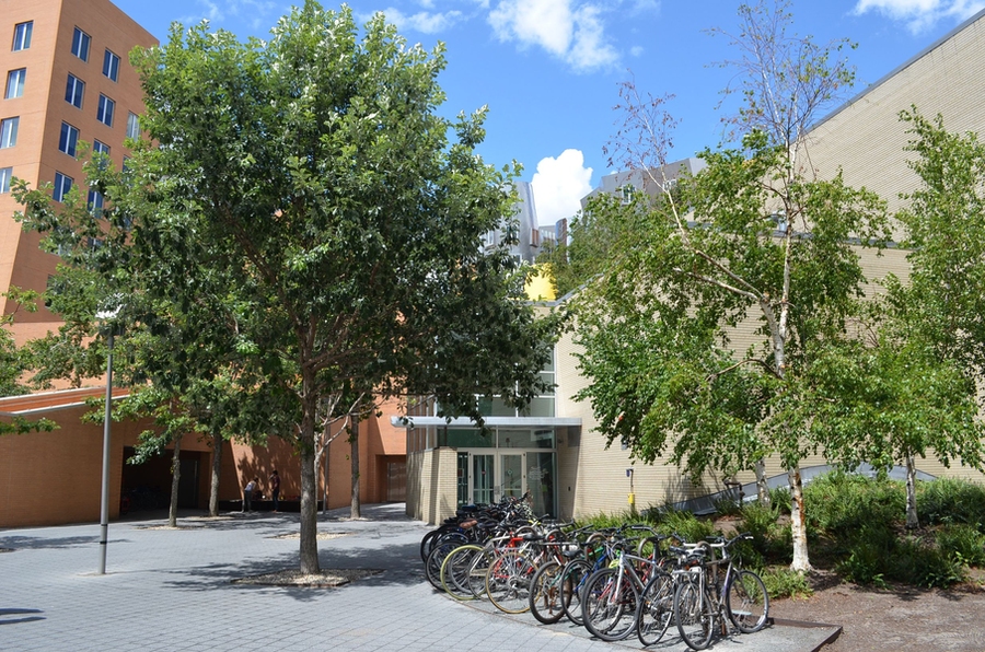 The MIT Alumni Pool and Wang Fitness Center is located next to the Ray and Maria Stata Center.