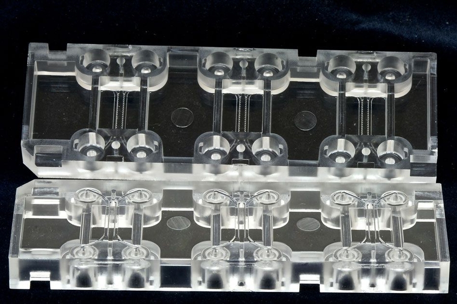 AIM Biotech's microfluidics device (shown here) has an array of culturing sections, each with three chambers: a middle chamber for hydrogel and any cell type, and two side channels for culturing additional cell types. 