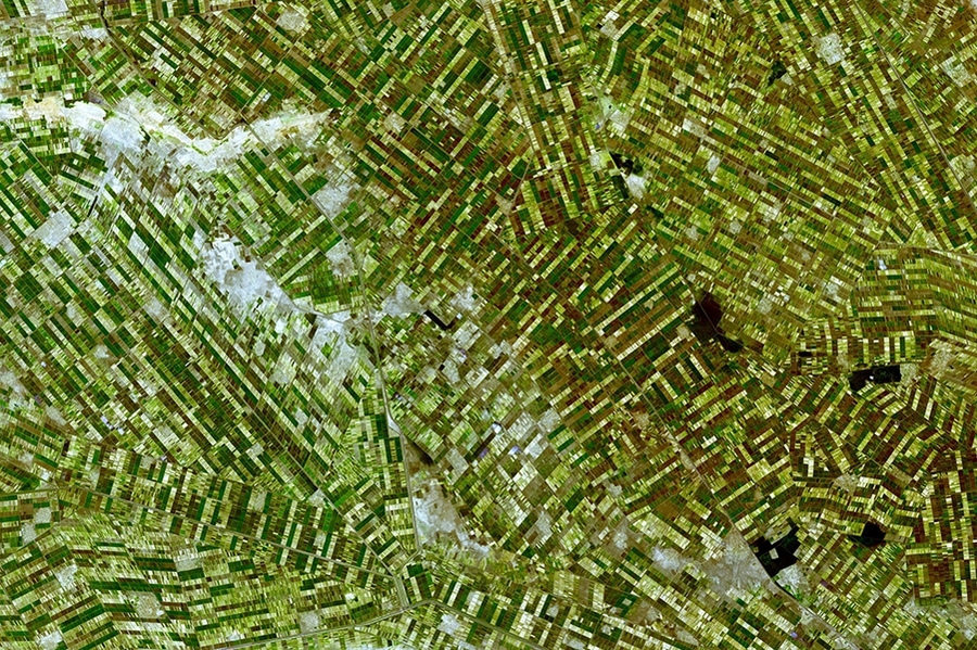 A satellite image shows irrigated fields (green and brown), irrigation canals (gray lines between fields), and villages (grey-white patches) within the Gezira Scheme in Sudan. 