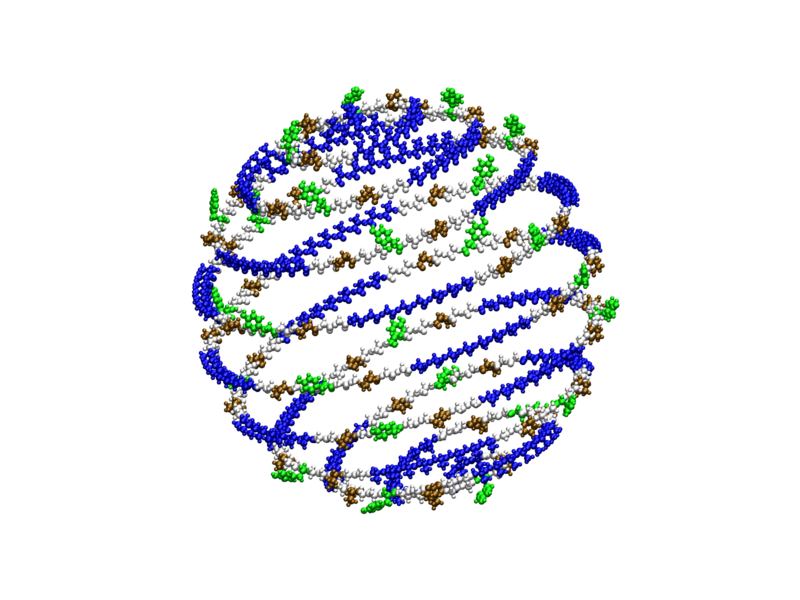 Spherical spiral created with the Matriarch software. Matriarch can parameterize arbitrary mathematical curves to create molecular models of protein materials as input to molecular dynamics simulations.