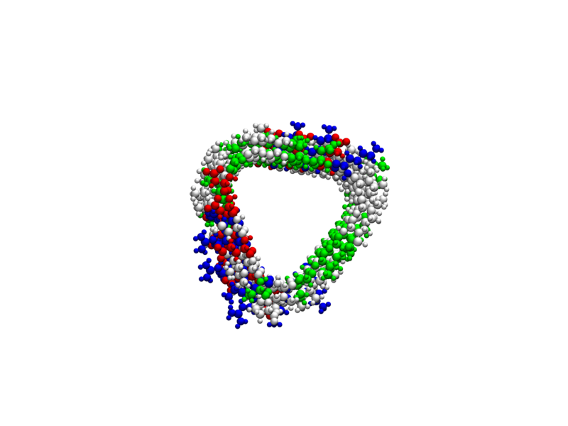 Amyloidal structure created with the Matriarch software. Using a combination of molecular building blocks and building instructions, new biological materials can be created and tested computationally.