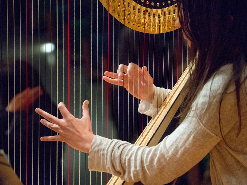 MIT Symphony Orchestra concert