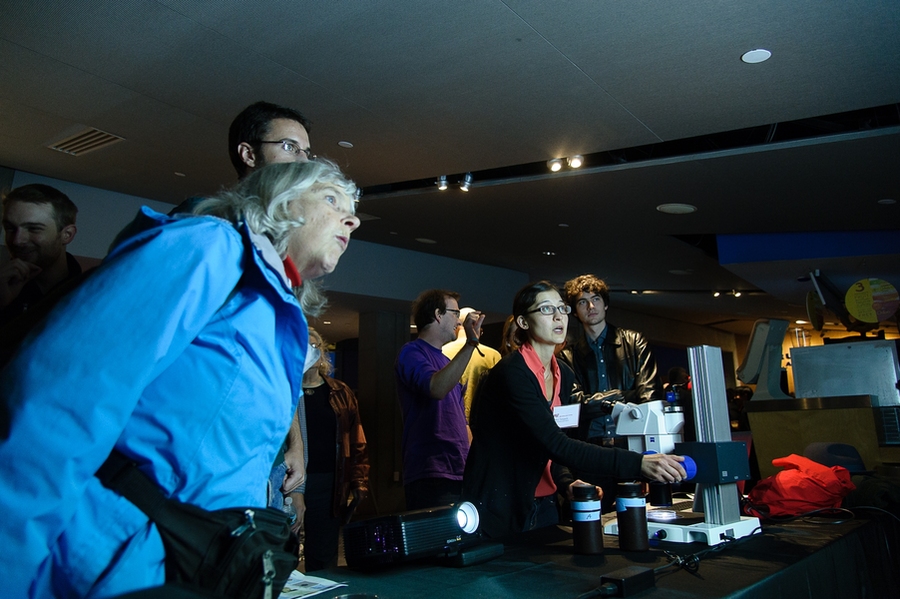 Darcy Taniguchi shares a microscope-eye view of phytoplankton collected off the dock outside the Boston Aquarium.
