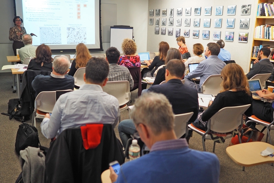 MIT Professor Paula Hammond presented highlights from her recent research with a select group of journalists who attended a nanotechnology workshop hosted by the Knight Science Journalism program.