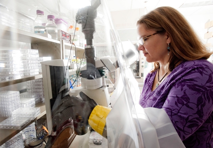Professor Catherine Drennan (pictured) says that microbes offer a natural way to clean up the waste products of energy production.