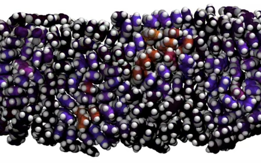 A top-down view of a photo-excited disordered molecular film. In this film the excited electron tends to spread out across multiple individual molecules in a non-uniform pattern that depends on the underlying disorder. Here, shape and size of the delocalized excitation is indicated by the shading of each molecular core; in this case the excitation is distributed into four non-overlapping regions o...