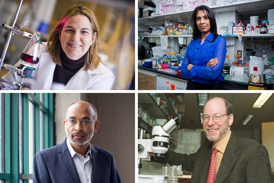Four MIT faculty are among the the 168 fellows of the National Academy of Inventors elected in 2015. They have been honored for their "prolific spirit of innovation in creating or facilitating outstanding inventions that have made a tangible impact on quality of life, economic development, and the welfare of society.”
(Clockwise from top left): Angela M. Belcher; Sangeeta N. Bhatia; H. Robert...