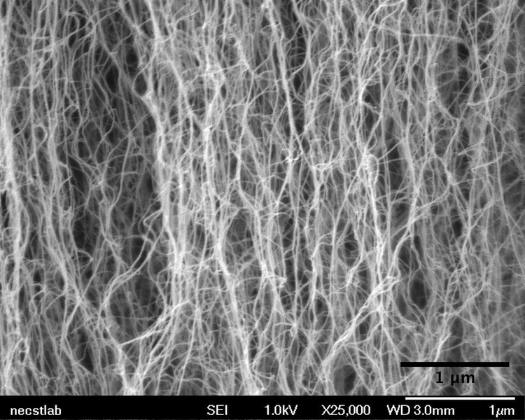A zoomed in view of carbon nanotubes, showing individual tubes.  