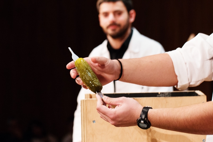 Plasma Science and Fusion Center scientists Adam Kuang and Ted Golfinopoulos lead a “Plasma Pickle” demo.