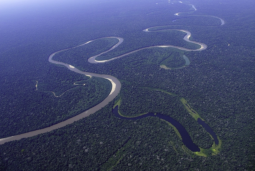 Manu National Park, a large (15,328-square-kilometer) protected area in southeastern Peru, includes several ecological zones and spans an elevation range of 150-4,200 meters above sea level. Manu’s vast tracks of Amazonian rainforest are part of the global tropical forest carbon sink that is slowing the rate of increase in atmospheric carbon dioxide, a primary driver of climate change.