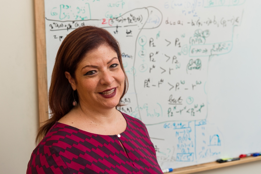 Georgia Perakis, the William F. Pounds Professor of Management at the MIT Sloan School of Management