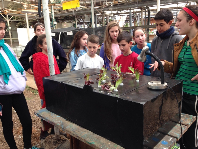Camille Richman '15 stood with students in the ecological greenhouse at Kibbutz Ein Shemer as part of her MIT-Israel experience.