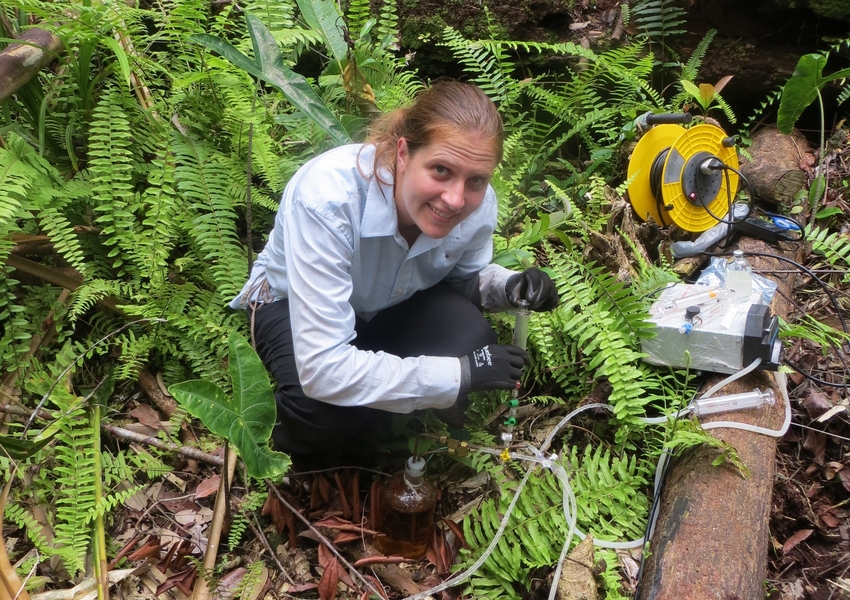 Alison Hoyt collects water samples for analysis.