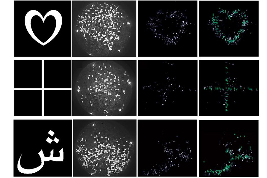 From left to right: patterns used to test the imaging system; the raw image from the shuffled fibers; the reconstruction performed by the researchers’ algorithm; and a comparison of the reconstruction with an ideal reconstruction.
