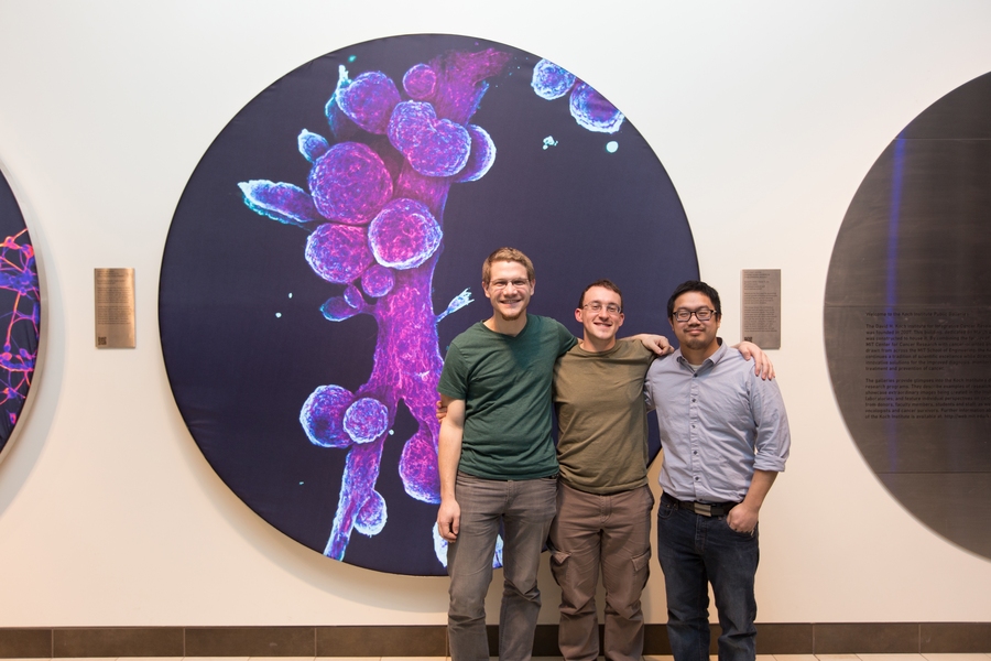 A team from the Whitehead Institute for Biomedical Research's Gupta laboratory poses with their winning image, "Duct Duct Goose: Chasing Down Answers in Developmental Biology.”