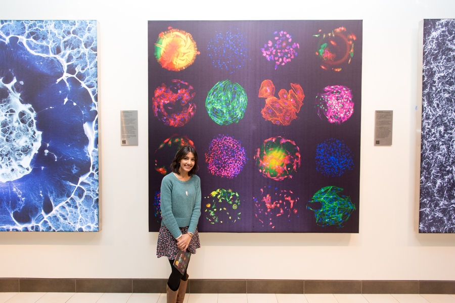 Asha Patel, from the Anderson and Langer laboratories, stands with one of their winning images, "Suit Your Cell: Designing Custom Biomaterials.”