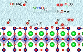 Mobilizing oxygen atoms from the crystal surface of a perovskite oxide electrode creates a shortcut-like pathway with an exceptionally low energy barrier to forming oxygen gas in water-splitting reactions, researchers at MIT, the Skoltech Institute of Technology, and the University of Texas at Austin report in a newly published paper. They found that strontium cobaltite (SrCoO<sub>2.7</sub>) exhib...