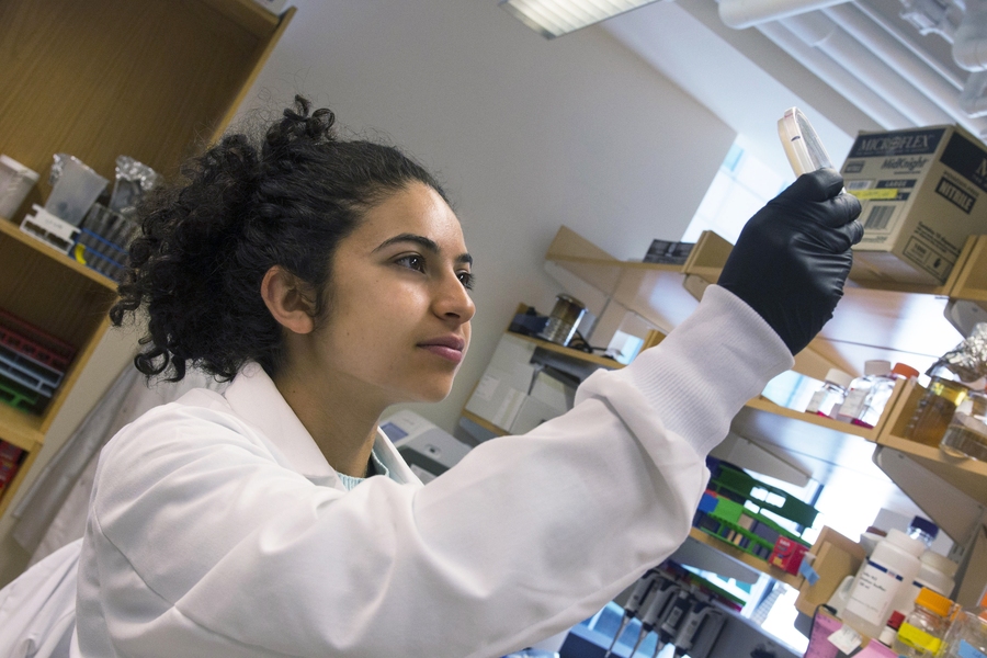 Soleimany worked on a SuperUROP research project in Professor Timothy Lu's lab, where she developed synthetic state machines in bacteria.