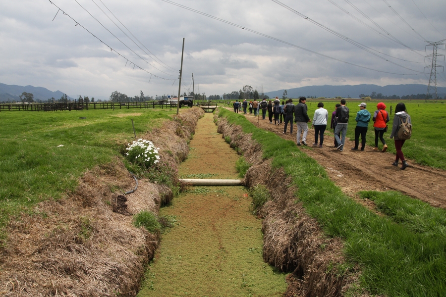 Students visit agricultural lands in Cota, a neighboring municipality of Bogotá