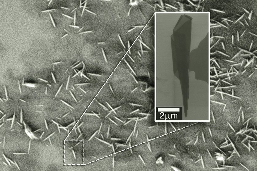 An electron microscopy image shows many examples of nanoscrolls. The insert zooms in on a single nanoscroll and reveals its conical nature.