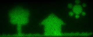 This image was created using a microfluidics-based ink platform that Archis Bhandarkar worked on at Imperial College London.