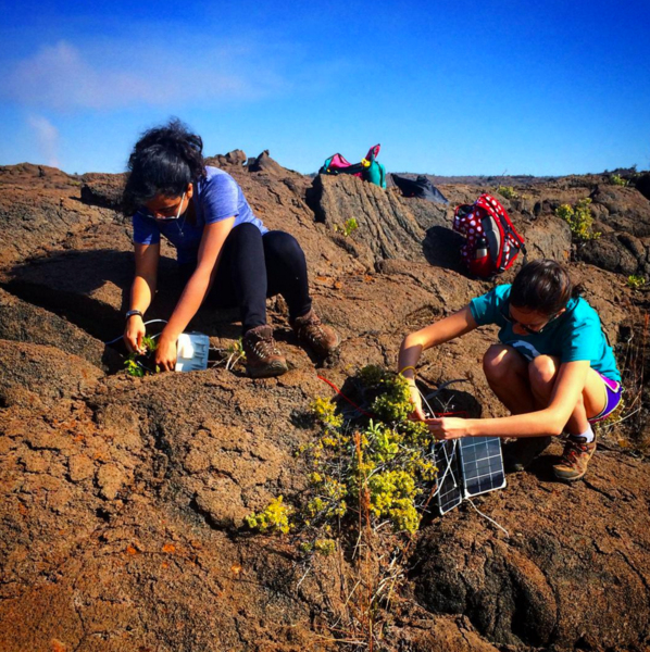 Students collect environmental samples in Hawaii as part of CEE's long running TREX program.