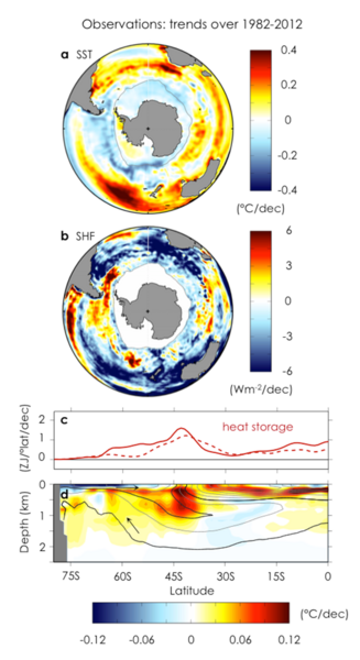 Observed trends over 1982–2012: A) annual-mean sea surface temperature trend; B) net surface heat flux trend (positive into ocean); C) zonally and depth-integrated ocean heat content trends from two different subsurface temperature data sets; D) zonal-mean ocean potential temperature trend with contours of climatological ocean salinity. Arrows indicate the orientation of the residual-mean meridi...
