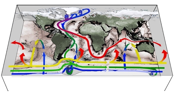 This graph shows the connectivity of the world’s oceans. Upwelling to the ocean surface occurs mainly around Antarctica in the Southern Ocean (rising yellow-red arrows) with wind and eddies playing a central role.
