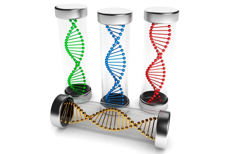 Engineers design programmable RNA vaccines | MIT News ...