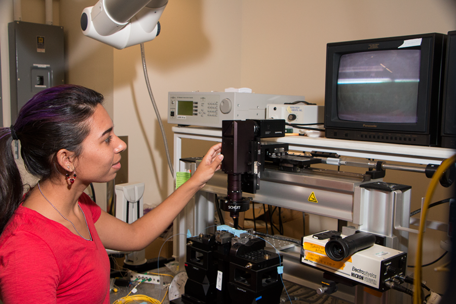 MPC-CMSE Summer Scholar Ashley DelValle Morales works at a laser and detector system she is using during her project under Anuradha Agarwal, MIT Microphotonics Center principal research scientist. Agarwal is developing chemical sensors based on the 1,550 nanometer telecommunications wavelength using a new materials system built of silicon carbide on silicon dioxide on silicon.