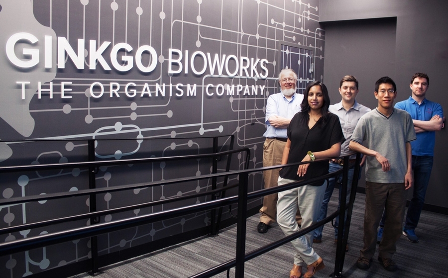 Ginkgo co-founders (from left to right): Tom Knight, Reshma Shetty, Barry Canton, Austin Che, and Jason Kelly