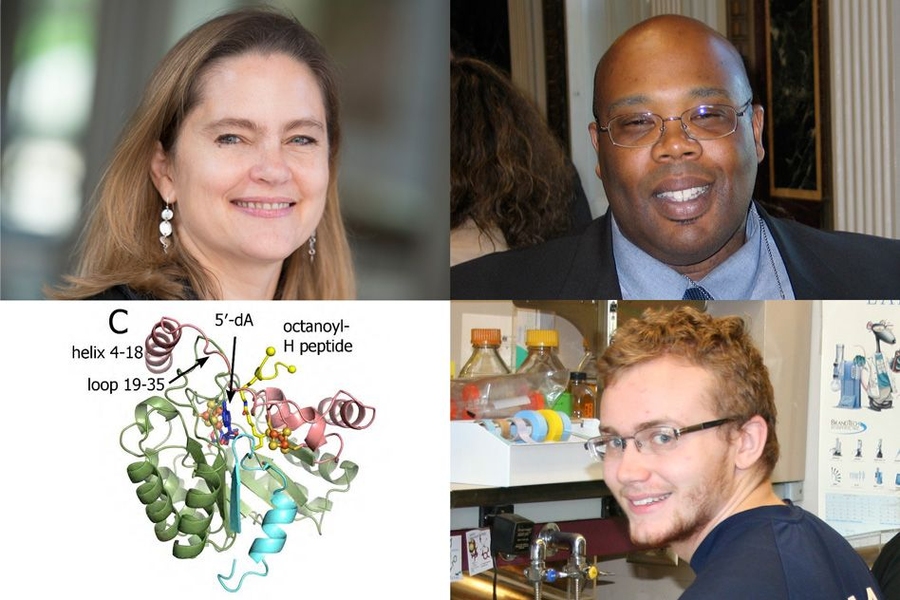 Clockwise from top left: Cathy Drennan, professor of chemistry and biology at MIT; Squire Booker, a professor of chemistry and of biochemistry and molecular biology at Penn State; Martin McLaughlin ’15; and an image of LipA.