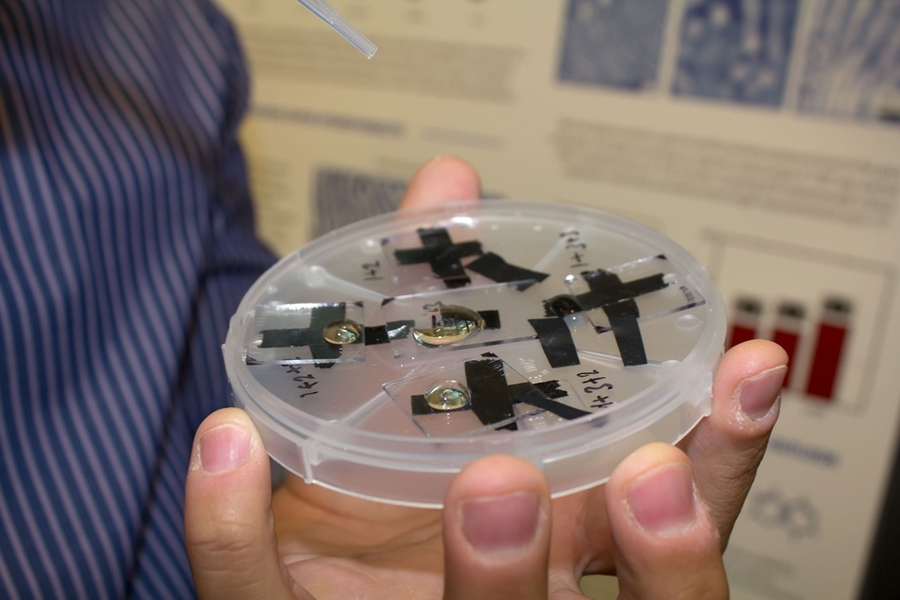 PolyClean demonstrated how water beads up a few sample squares of their transparent, super-hydrophobic (water-repelling) glass coating.