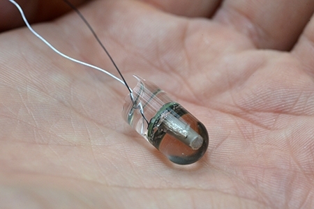 The advanced electronics providing EnteroPhone with its capabilities are contained inside a gelatin capsule that is about the size of a multivitamin.