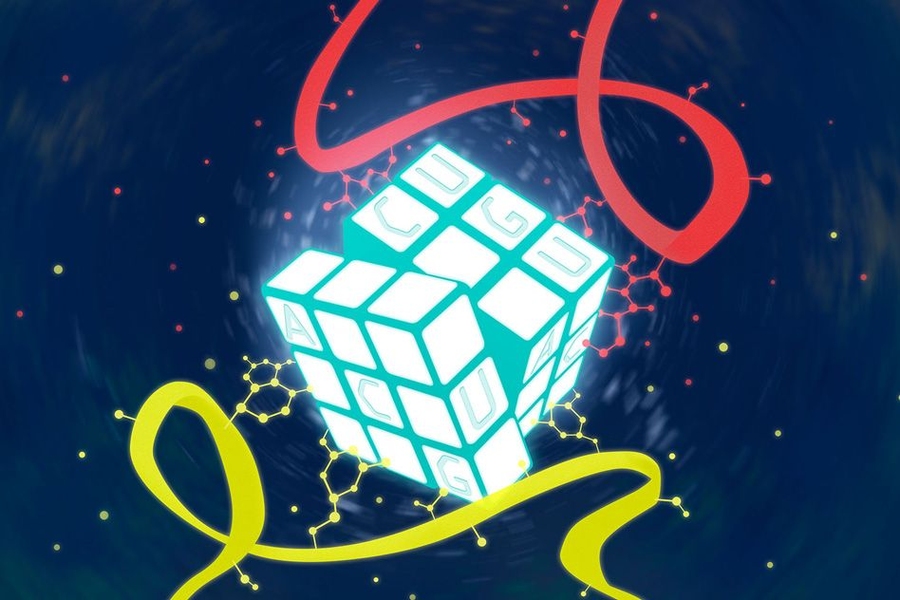 Four nucleotides, abbreviated A, C, G, and T, spell out DNA sequences that code for all of the proteins cells need. MIT researchers have now discovered another layer of control, mediated by transfer RNA, that helps cells to rapidly divert resources in emergency situations.