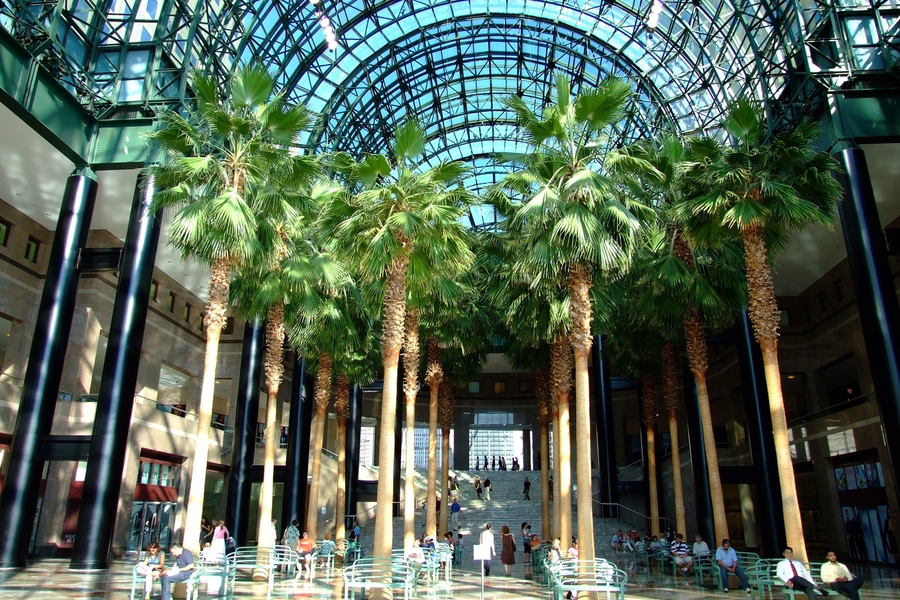 "Wyer emphasizes what we ‘share in music when we abandon words, and the connections we can rediscover when we move past the labels we attach to ourselves and others.’ Miyagawa’s work causes us to think of the universality of language in evolutionary terms. It is not just a random cultural construct, but is based in part on capacities humans share with other species.”