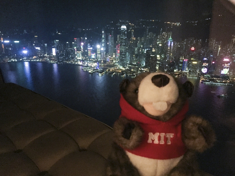 A stuffed Tim the Beaver takes a selfie in Hong Kong.  