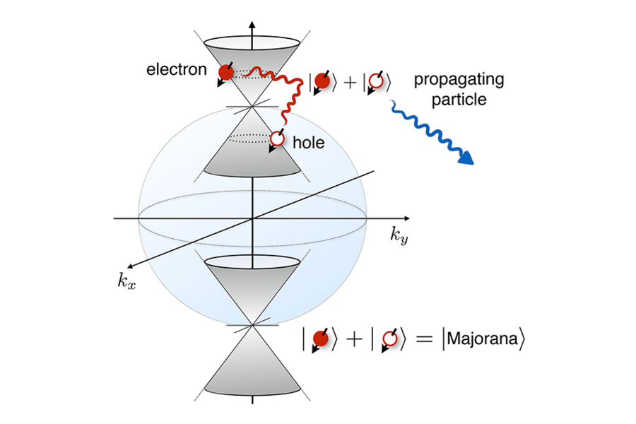 Physicists describe electrons by their energy, momentum, and spin. An electron can occupy a possible energy level, while an unoccupied level is called a hole. Here, a special electronic state called a Majorana fermion is shown as the sum of an electron and a hole that move freely. MIT Assistant Professor Liang Fu predicts this special state should occur near absolute zero temperature in a class of...