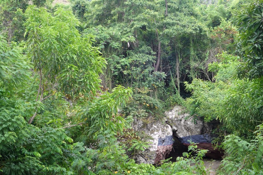 "An understanding of how recent tragedies in Haiti draw on the full weight of Haitian history encourages and even demands a longer-term commitment to the problems at hand," Ghachem notes."And it suggests that effective responses to what seem like essentially medical, environmental, or legal problems must cut across conventional categories of policy analysis and understandings of responsibility." P...