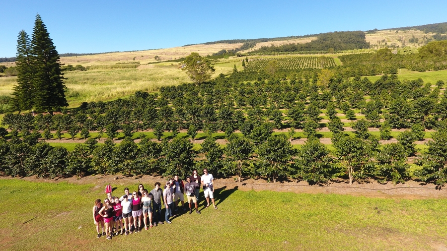 Group photo of the TREX leaders and participants, taken with a remote aerial vehicle at at the Ka’u Coffee Mill near Pahala, Hawaii. 


