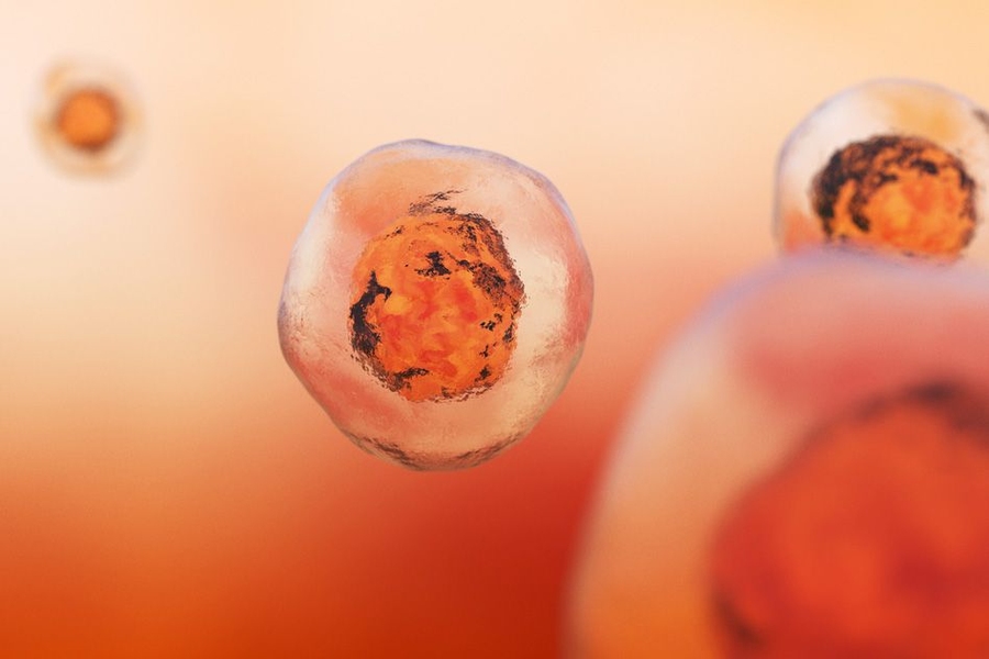 MIT earth scientists have found evidence that eukaryotes — the domain of life comprising animals, plants, and protists — were present on Earth as early as 2.33 billion years ago, right around the time when oxygen became a permanent fixture in the atmosphere.