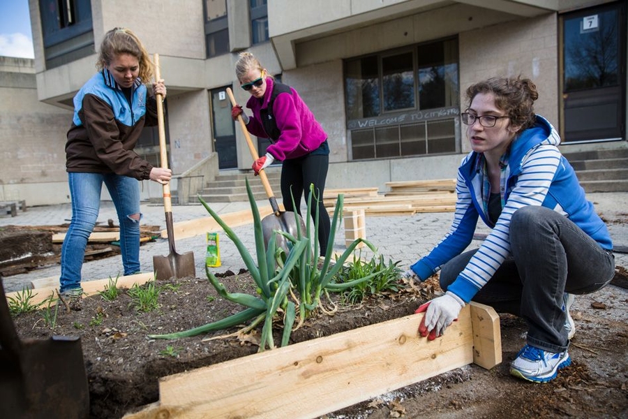 Throughout Tuesday, about 125 MIT faculty, students, and staff spread out across 16 nonprofits in Cambridge and Boston, as part of the second annual Together in Service Day, organized by the Priscilla King Gray Public Service Center.