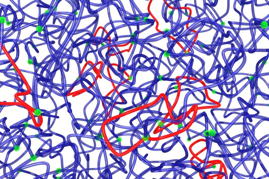 Researchers have found a new approach for reducing the number of loops (red) in a polymer. The method could offer an easy way for manufacturers of industrially useful materials such as plastics or gels to strengthen their materials.
