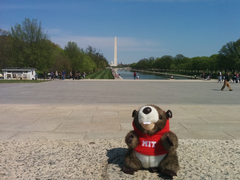 Tim visits the National Mall in Washington.