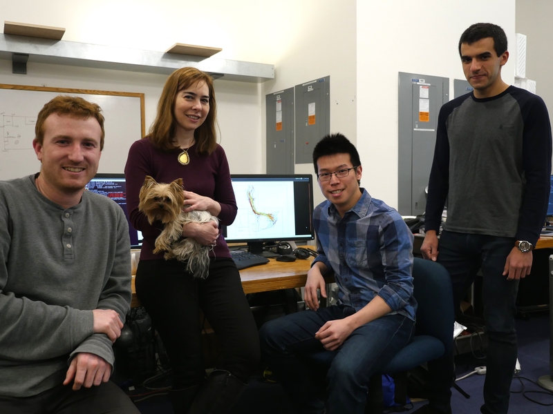 Left to right: Zach Kabelac, MIT Wireless Center Director Dina Katabi, Chen-Yu Hsu, and Rumen Hristov led the development of WiGait.