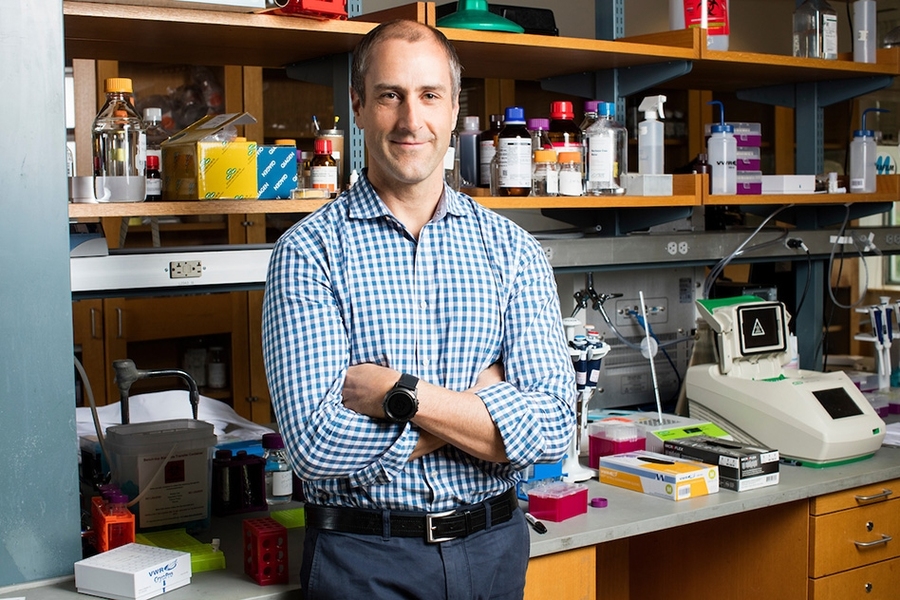 Deploying therapeutic payloads to cells | MIT News | Massachusetts ...