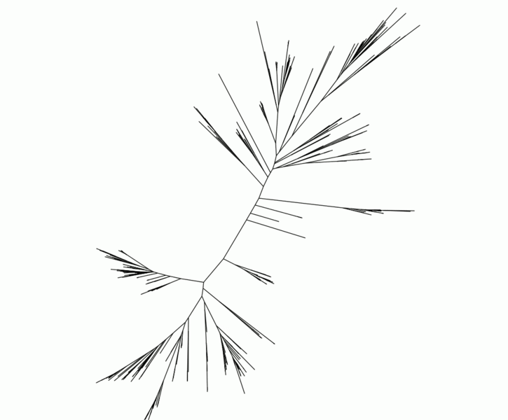 A simple phylogenetic tree image of a portion of superoxide dismutase genes within one part of the tree of life — the Archaea domain — contains 500 species. The tree has no root because it remains to be determined where the ancestor branch should go. The Massachusetts Green High Performance Computing Center Cluster allows researchers in the lab of MIT Associate Professor Greg Fournier to make ...
