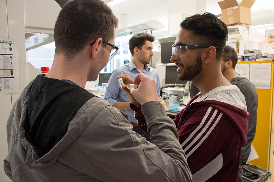Summer Scholars Kirill Shmilovich (left) and Saleem Iqbal examine vials containing samples of oxygen sensor materials in David H. Koch Professor of Engineering Michael Cima’s lab.