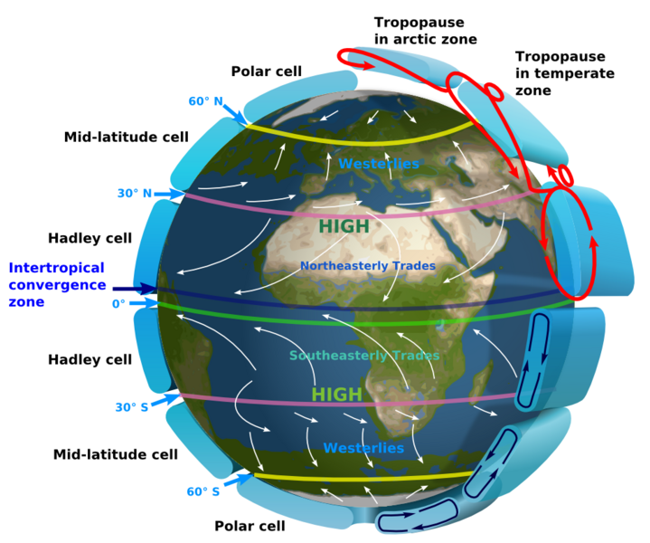 Global circulation of Earth’s atmosphere displays a Hadley cell, Ferrell cell, and polar cell.